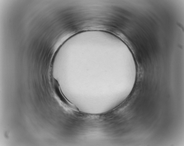 X0000098130909200805151113