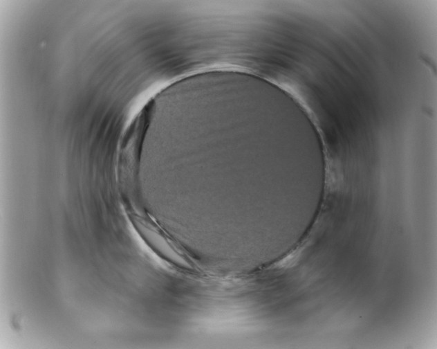 X0000098130910200805151113