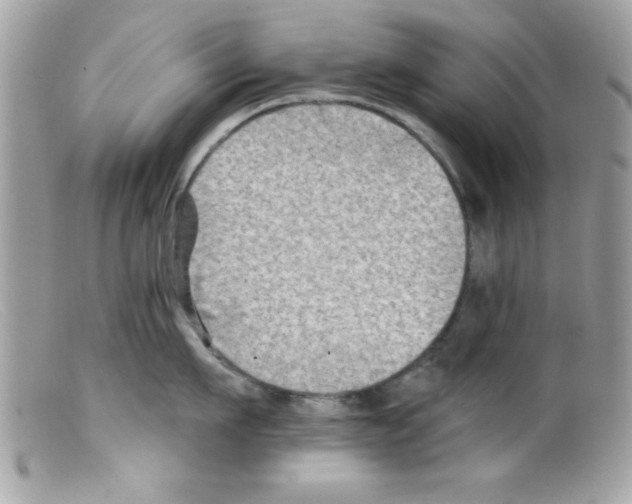 X0000098130911200805151112
