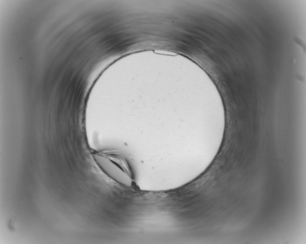 X0000098130912200805151112