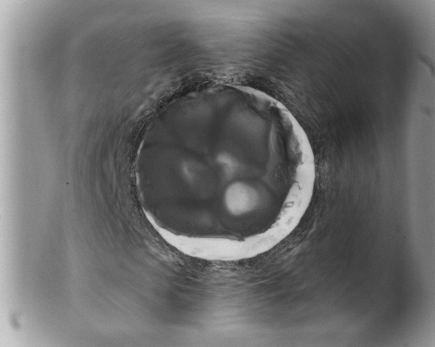 X0000098130913200805151112