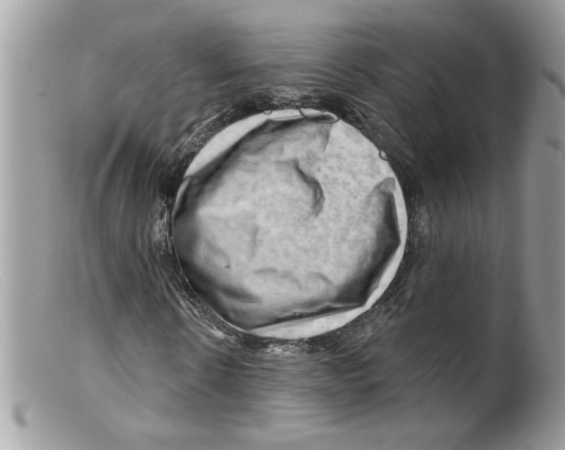 X0000098130914200805151112