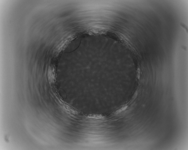 X0000098130915200805151112