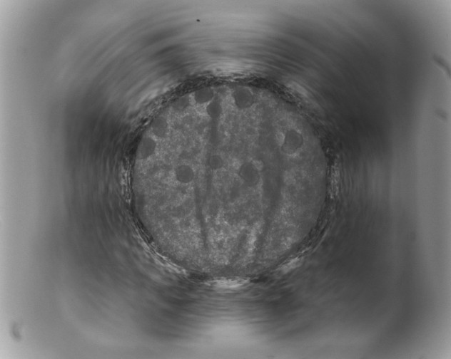 X0000098130917200805151112