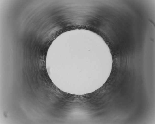 X0000098130918200805151112