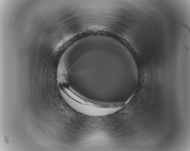 X0000098130919200805151112