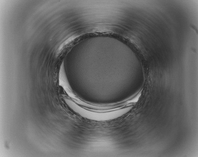 X0000098130920200805151112