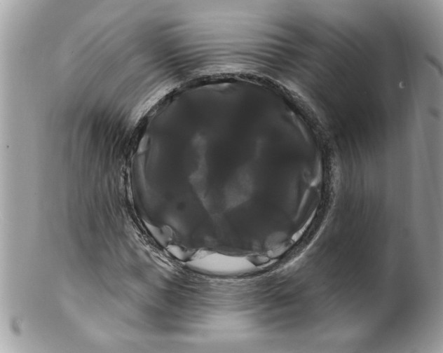 X0000098130921200805151112