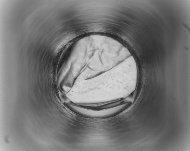 X0000098130922200805151112