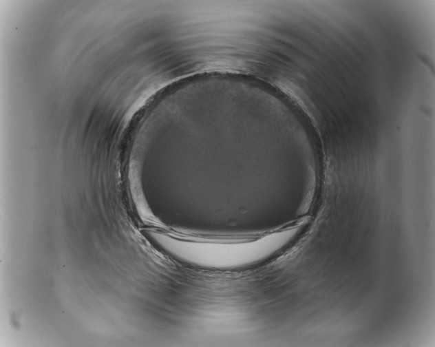 X0000098130923200805151112