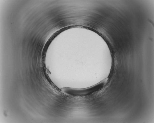 X0000098130924200805151112
