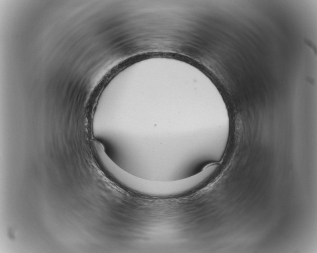 X0000098130926200805151112