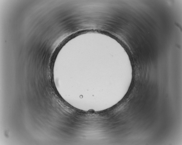 X0000098130927200805151112