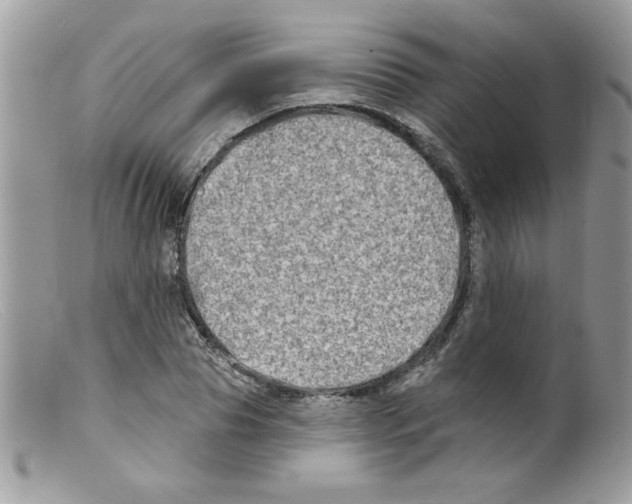 X0000098130929200805151112