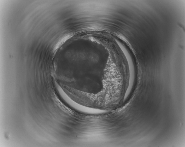 X0000098130930200805151112