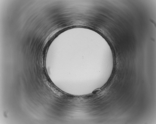 X0000098130931200805151112