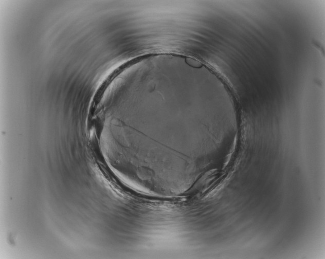 X0000098130932200805151112