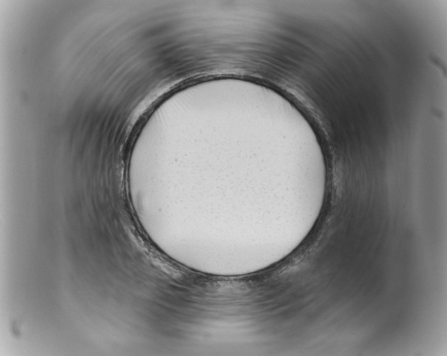 X0000098130933200805151112