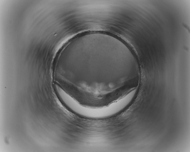 X0000098130935200805151112