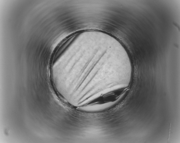 X0000098130936200805151112