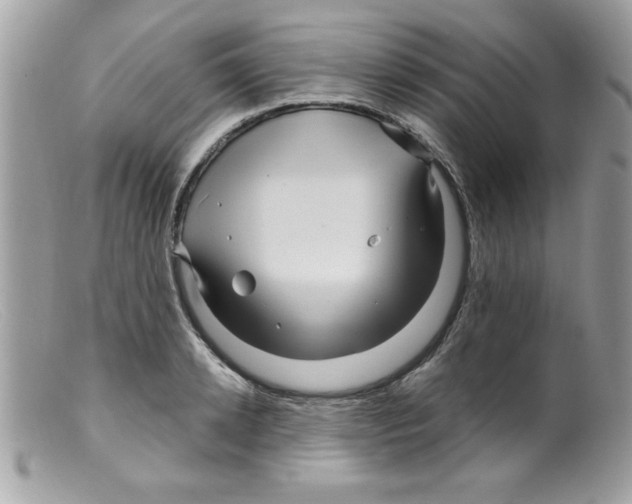 X0000098130942200805151112