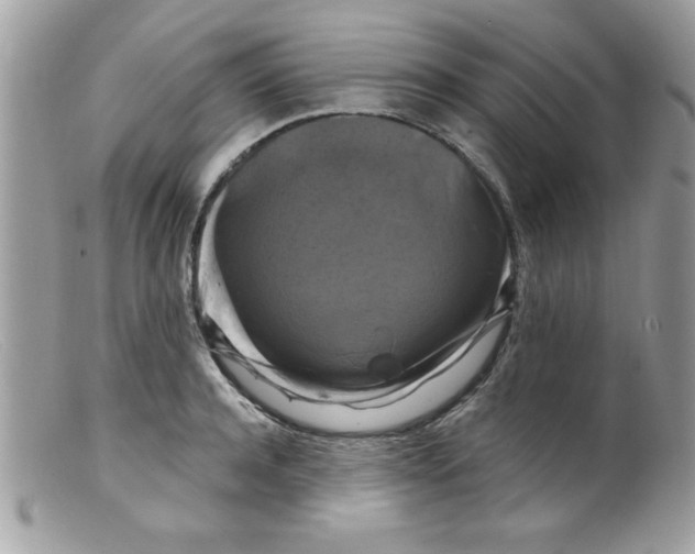 X0000098130944200805151112