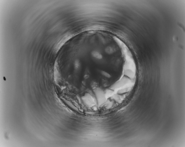 X0000098130945200805151112