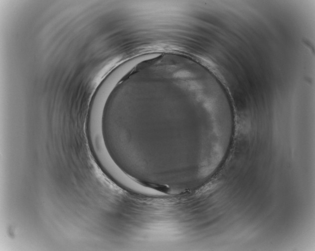 X0000098130946200805151112