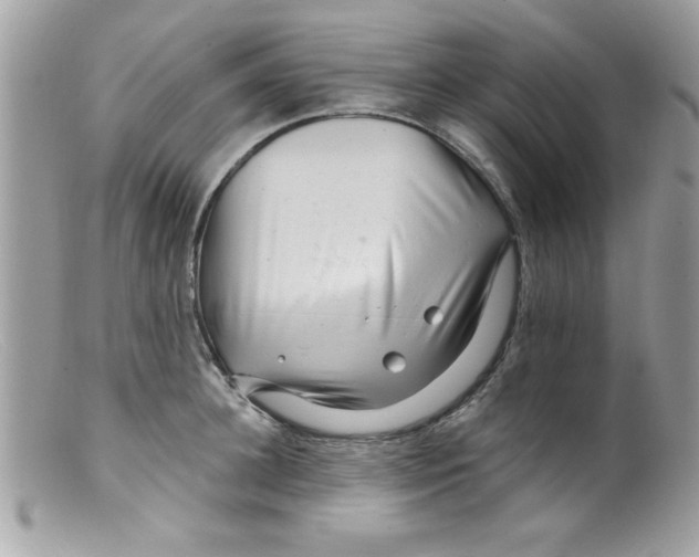 X0000098130948200805151112
