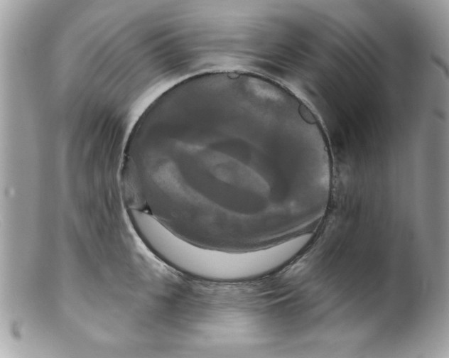 X0000098130951200805151112