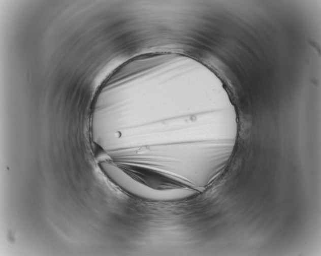 X0000098130952200805151112