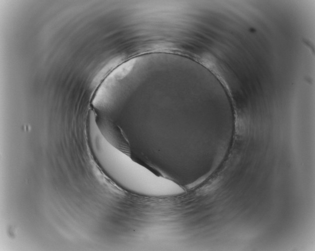X0000098130954200805151112