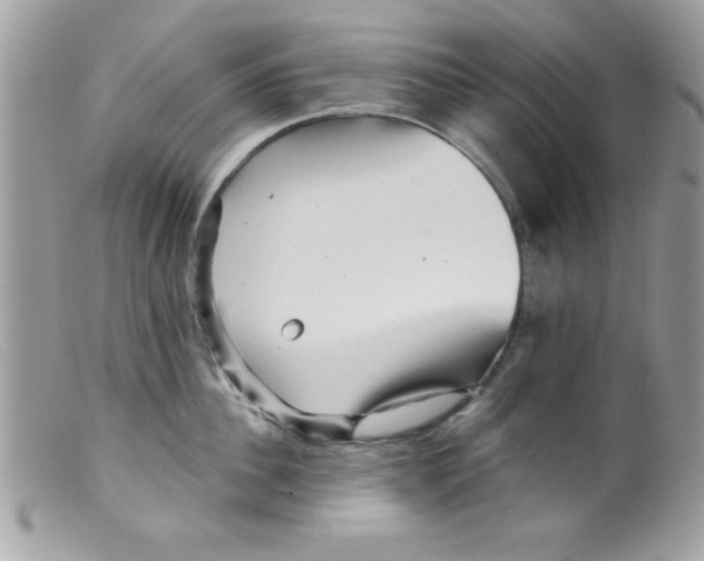 X0000098130956200805151112