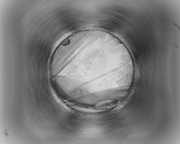X0000098130957200805151112