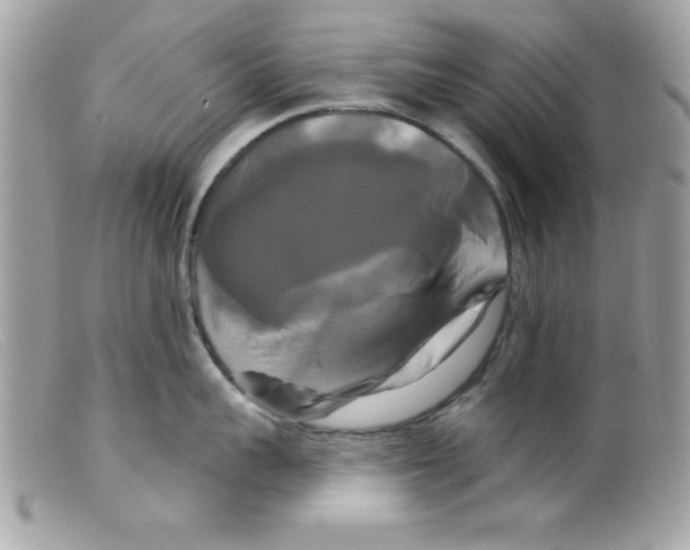 X0000098130959200805151112