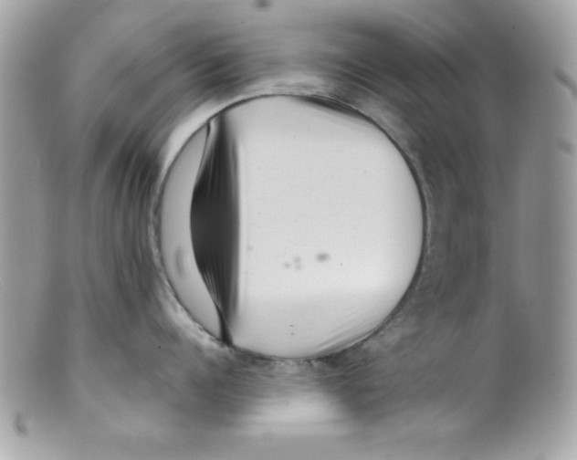 X0000098130960200805151112