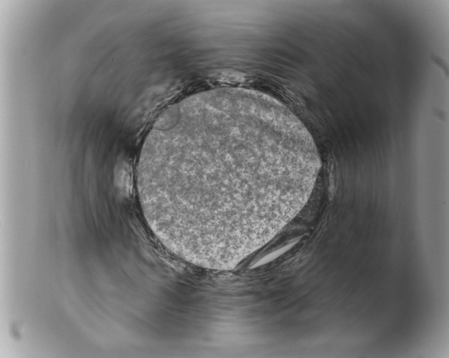 X0000098130962200805151112
