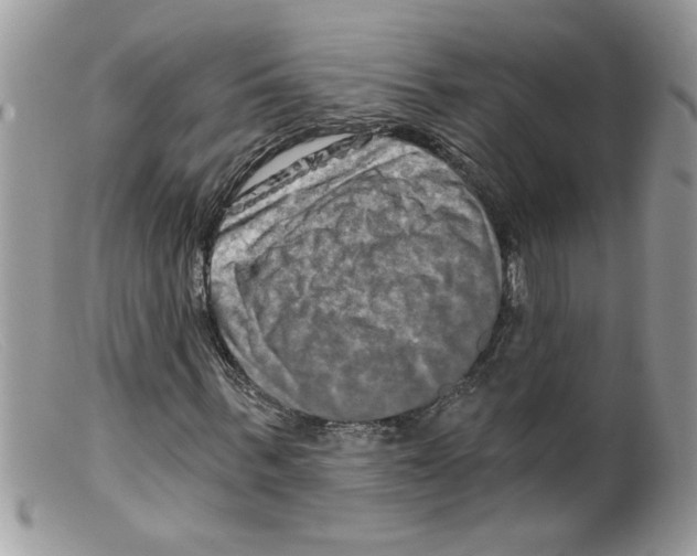 X0000098130963200805151112
