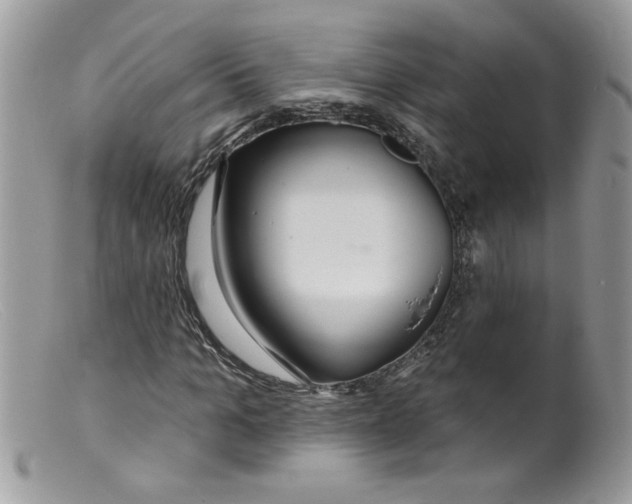 X0000098130965200805151112