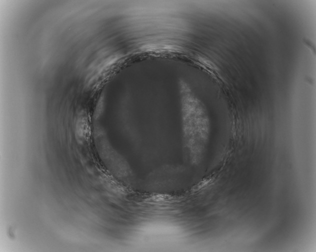 X0000098130966200805151112