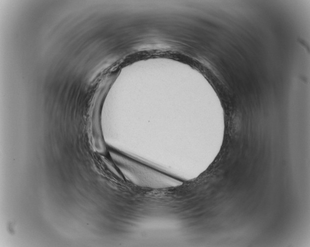 X0000098130967200805151112