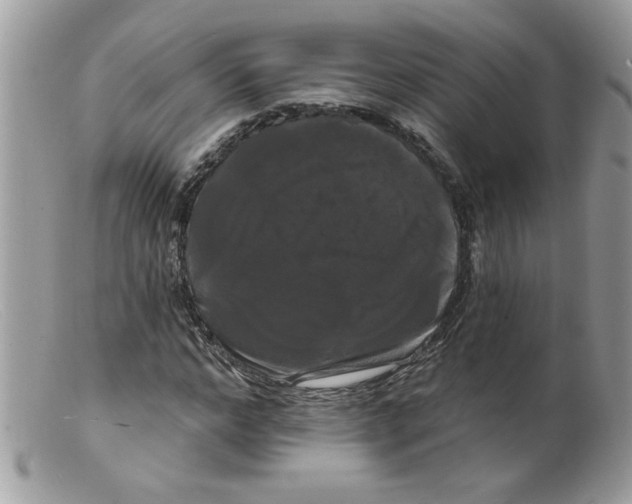 X0000098130968200805151111