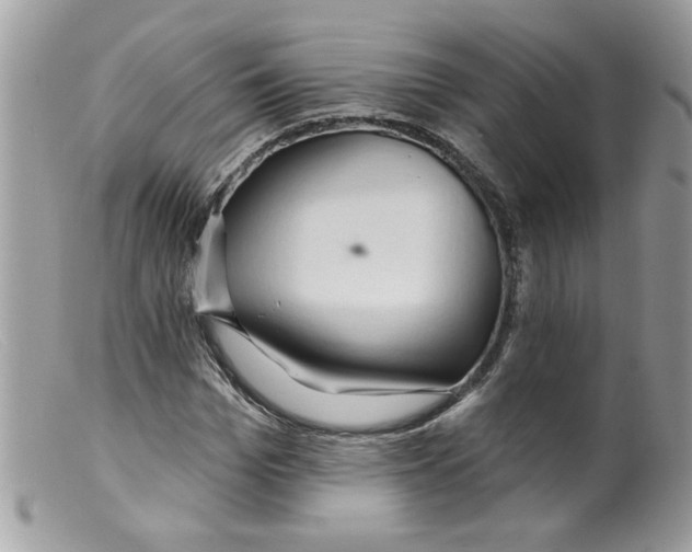 X0000098130969200805151111
