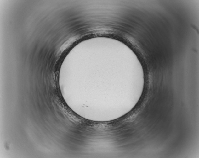 X0000098130970200805151111