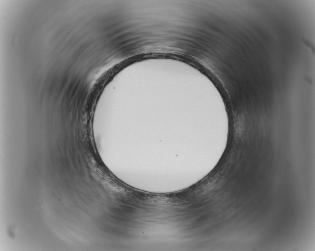 X0000098130971200805151111