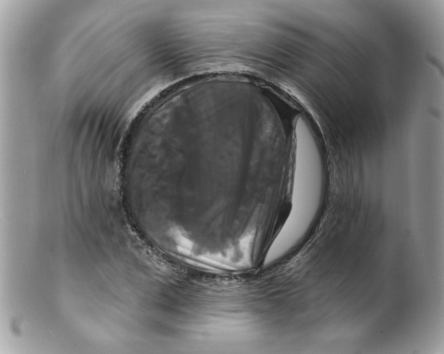 X0000098130975200805151111
