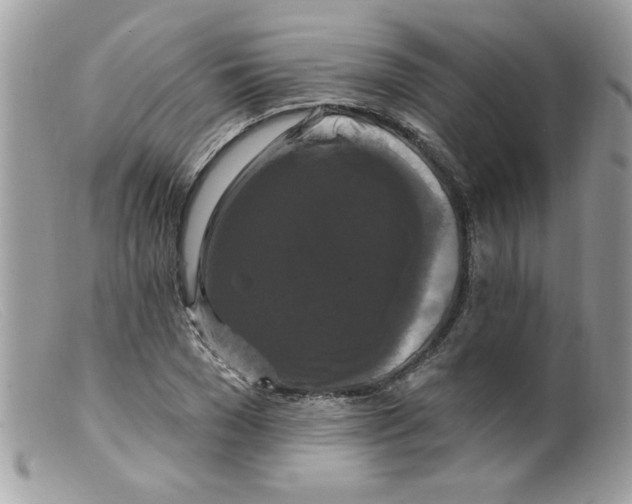 X0000098130977200805151111