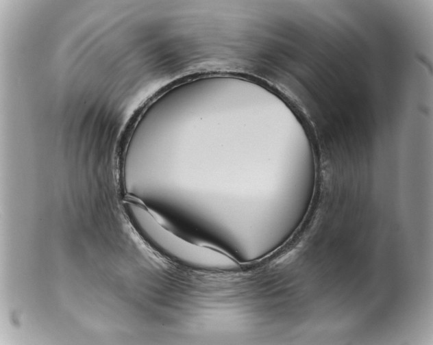 X0000098130981200805151111
