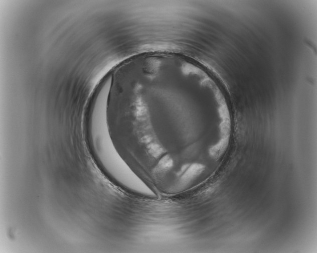 X0000098130983200805151111