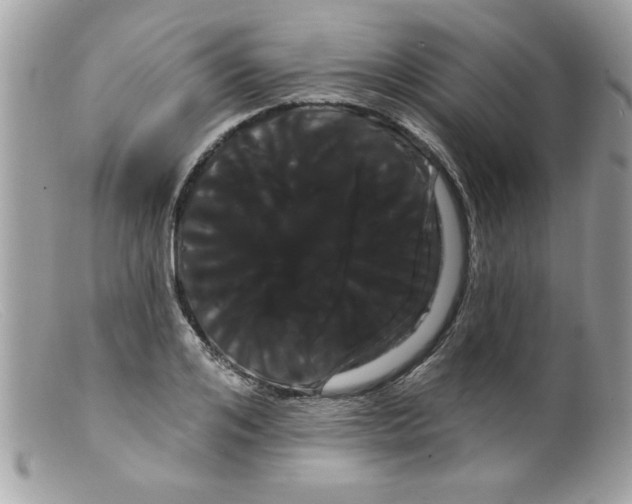X0000098130984200805151111